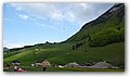 P1100987.JPG
