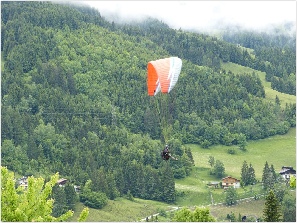 Geitner010.JPG