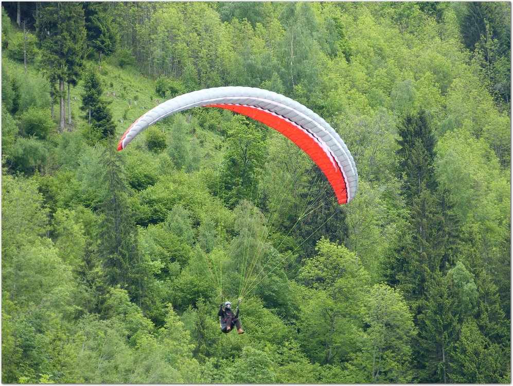 Geitner019.JPG