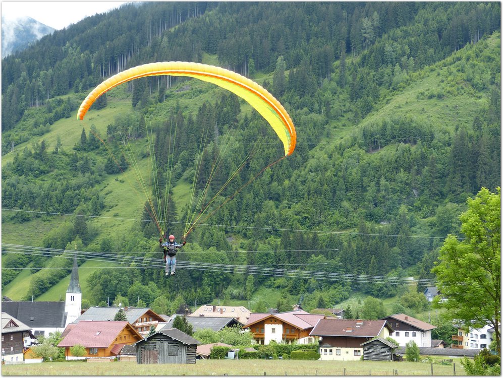 Geitner037.JPG