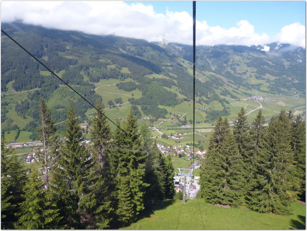 Geitner072.JPG