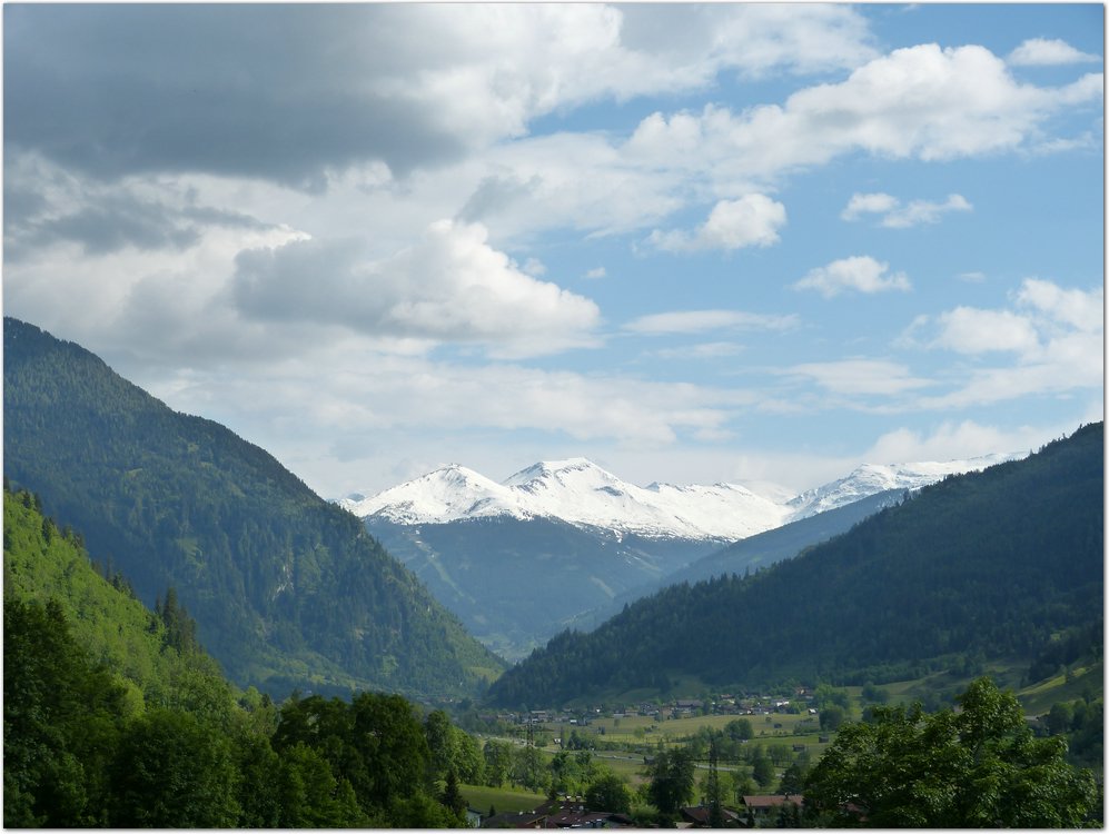 Geitner114.JPG