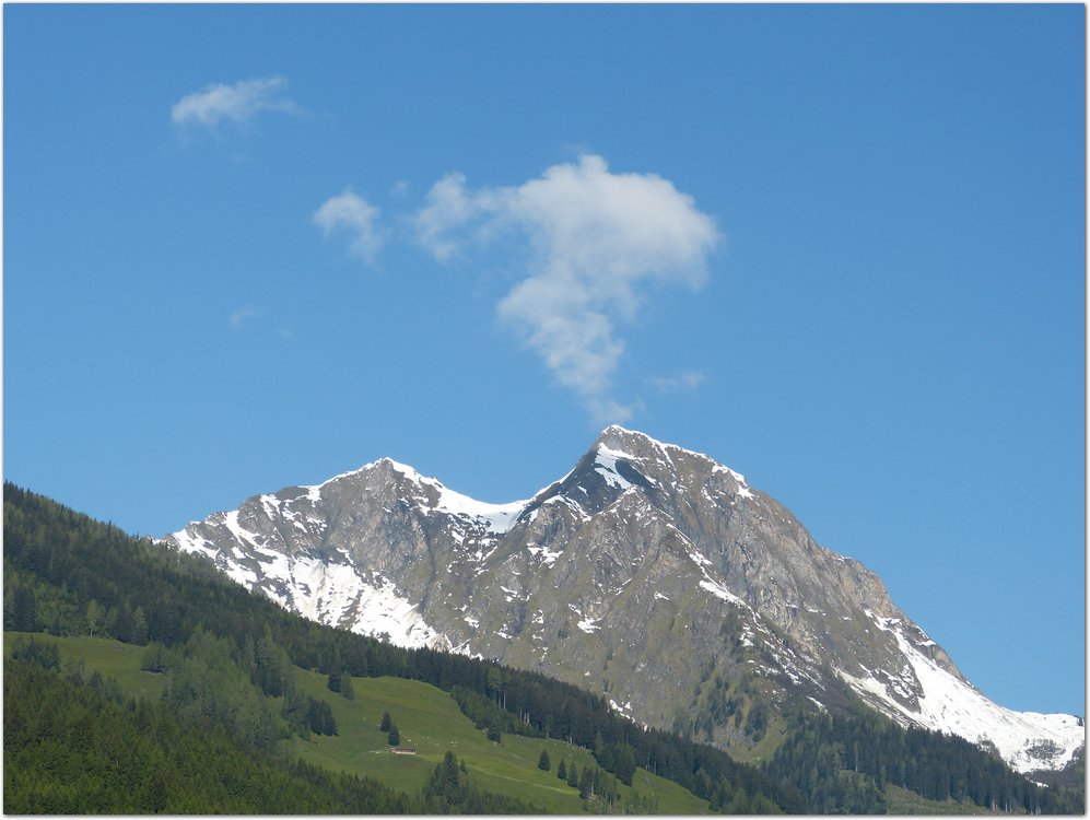 Geitner117.JPG