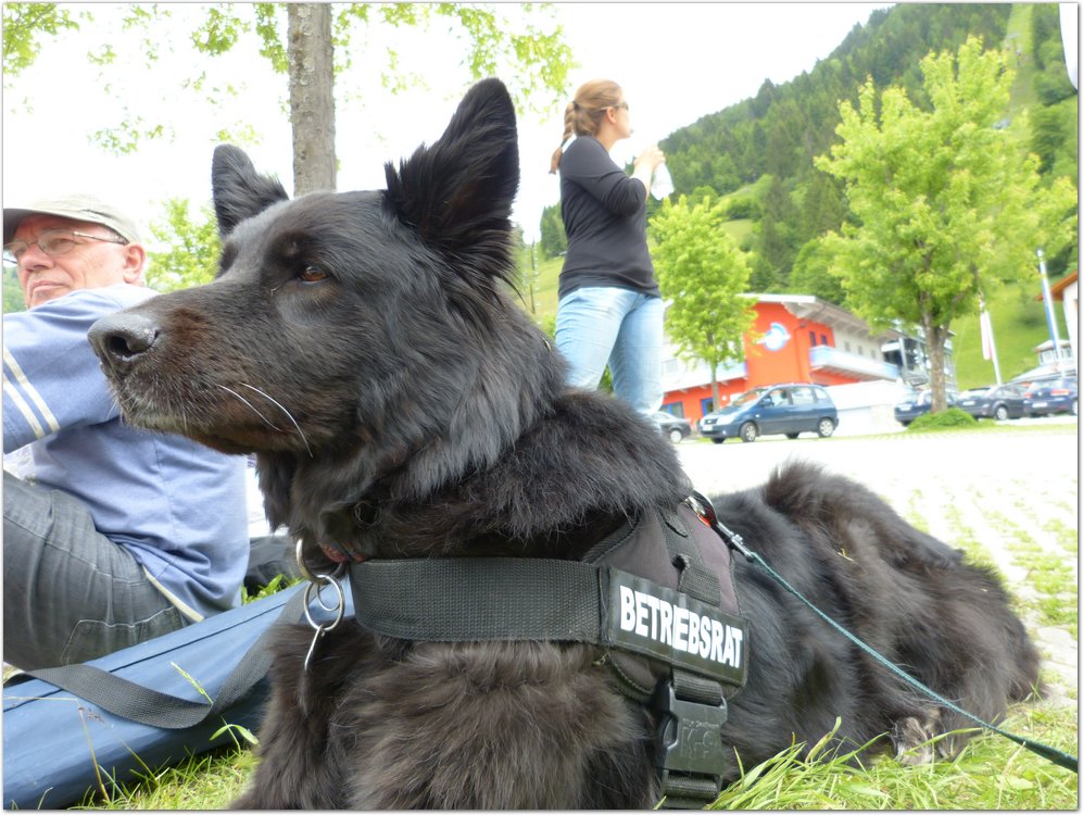 Geitner138.JPG
