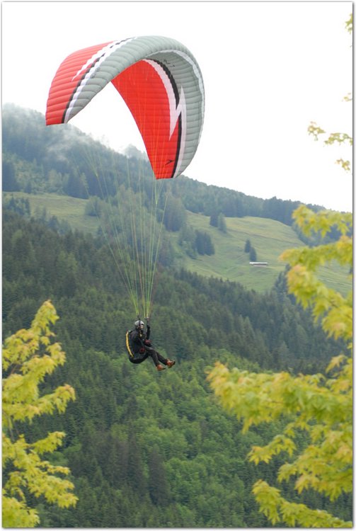 Scheid007.jpg