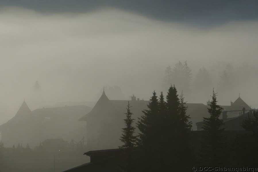 P1260173.JPG