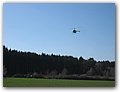 IMG_3383.JPG