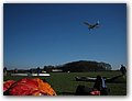 IMG_3882.JPG