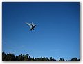 IMG_4025.JPG