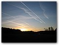 IMG_4113.JPG