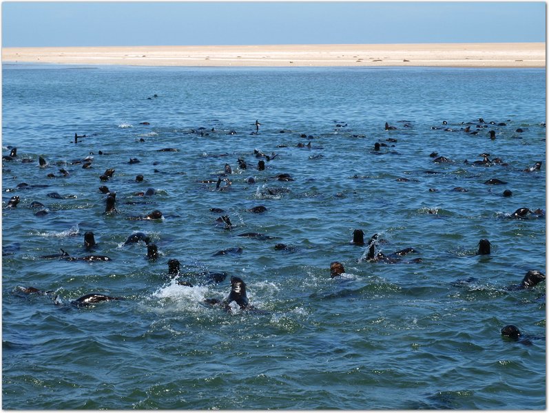 Namibia-2009-162.JPG
