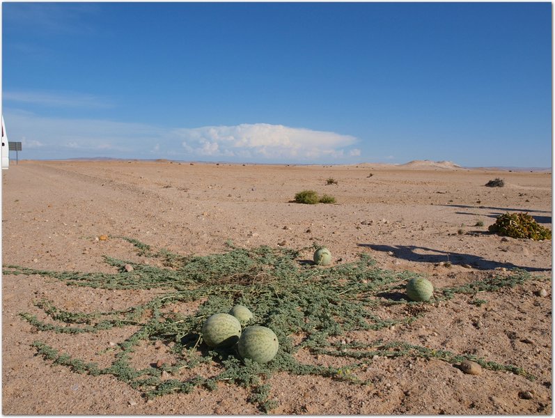 Namibia-P2102452.JPG