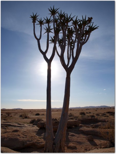 Namibia-P2102464.JPG