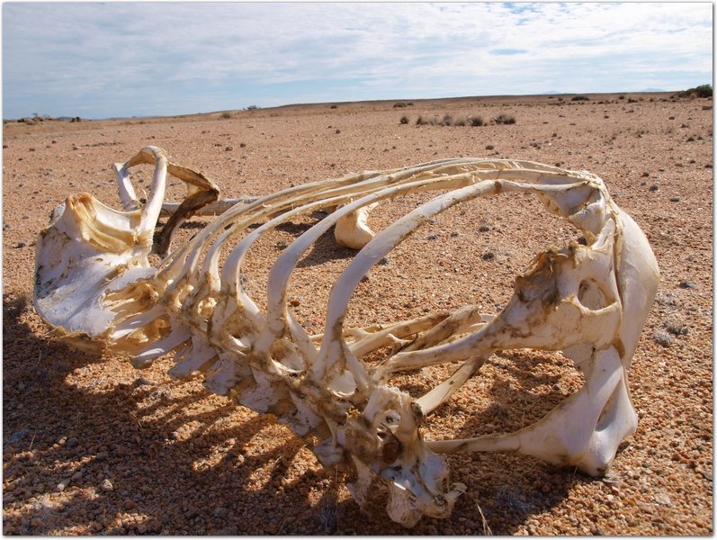 Namibia-P2112558.JPG