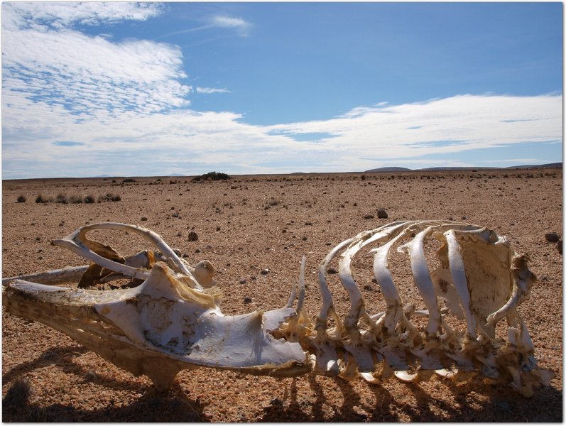 Namibia-P2112559.JPG