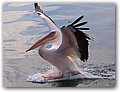 Namibia-2009-140b.JPG