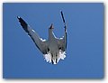 Namibia-2009-173.JPG