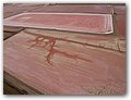 Namibia-2009-229.JPG