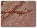 Namibia-2009-273.JPG