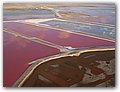 Namibia-2009-287c.JPG