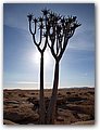Namibia-P2102464.JPG