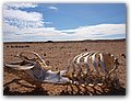 Namibia-P2112559.JPG