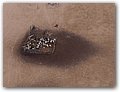 Namibia-P2122575-A.JPG