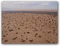 Namibia-P2122577.JPG