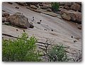 Namibia-P2142723c.JPG
