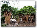 Namibia-P2152747.JPG