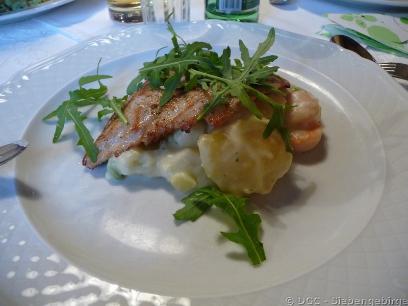 Klaus-P1310527.JPG