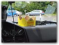 Deutschlandtour-2009-386.JPG